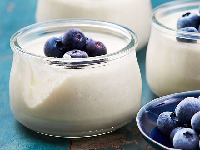 Yogurt panna cotta with blueberries