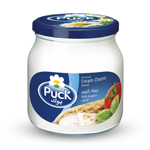 Puck Cream Cheese Spread (500g × 2)