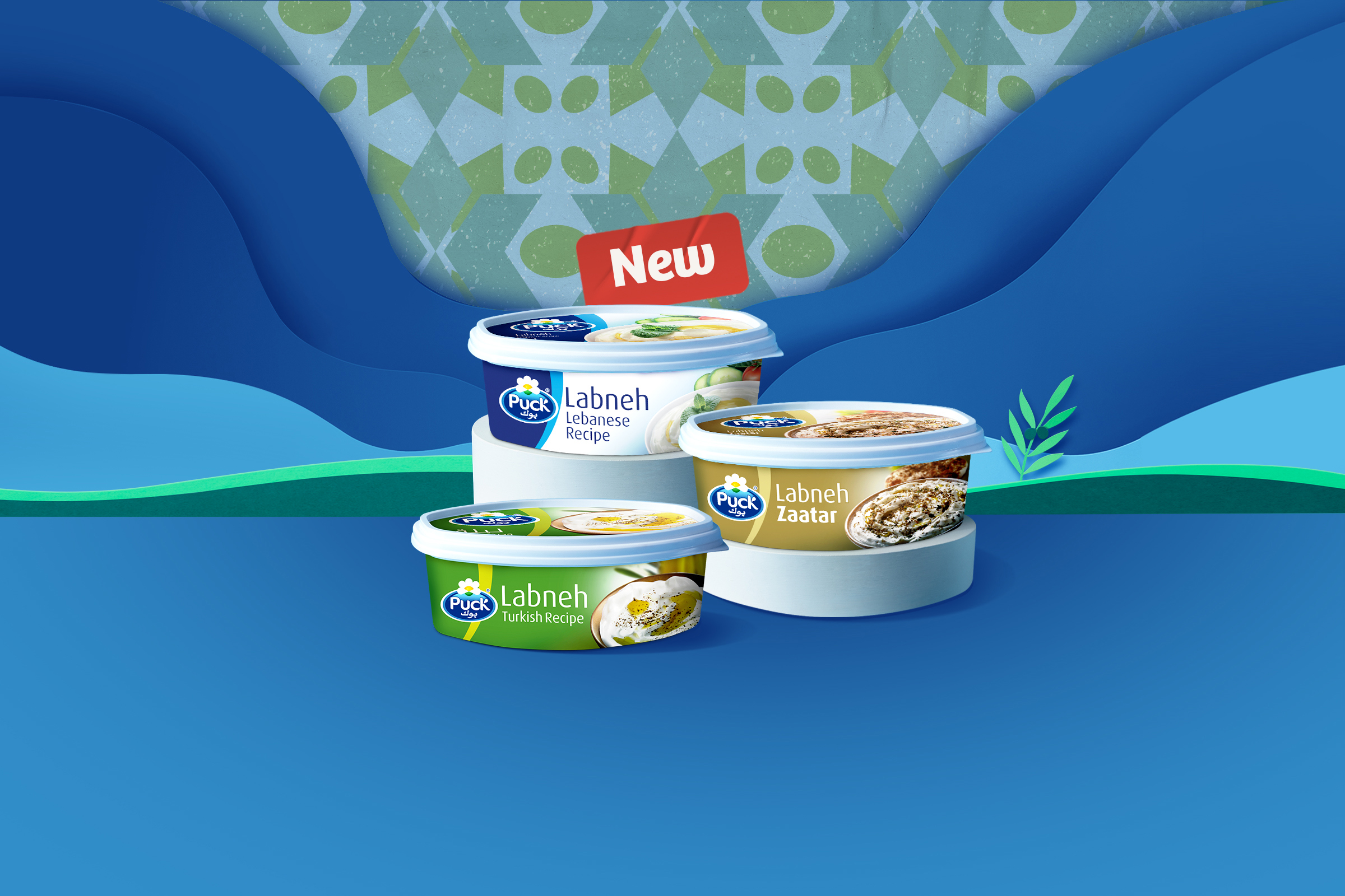Explore the world of Labneh with its two new flavors: Honey and Zaatar