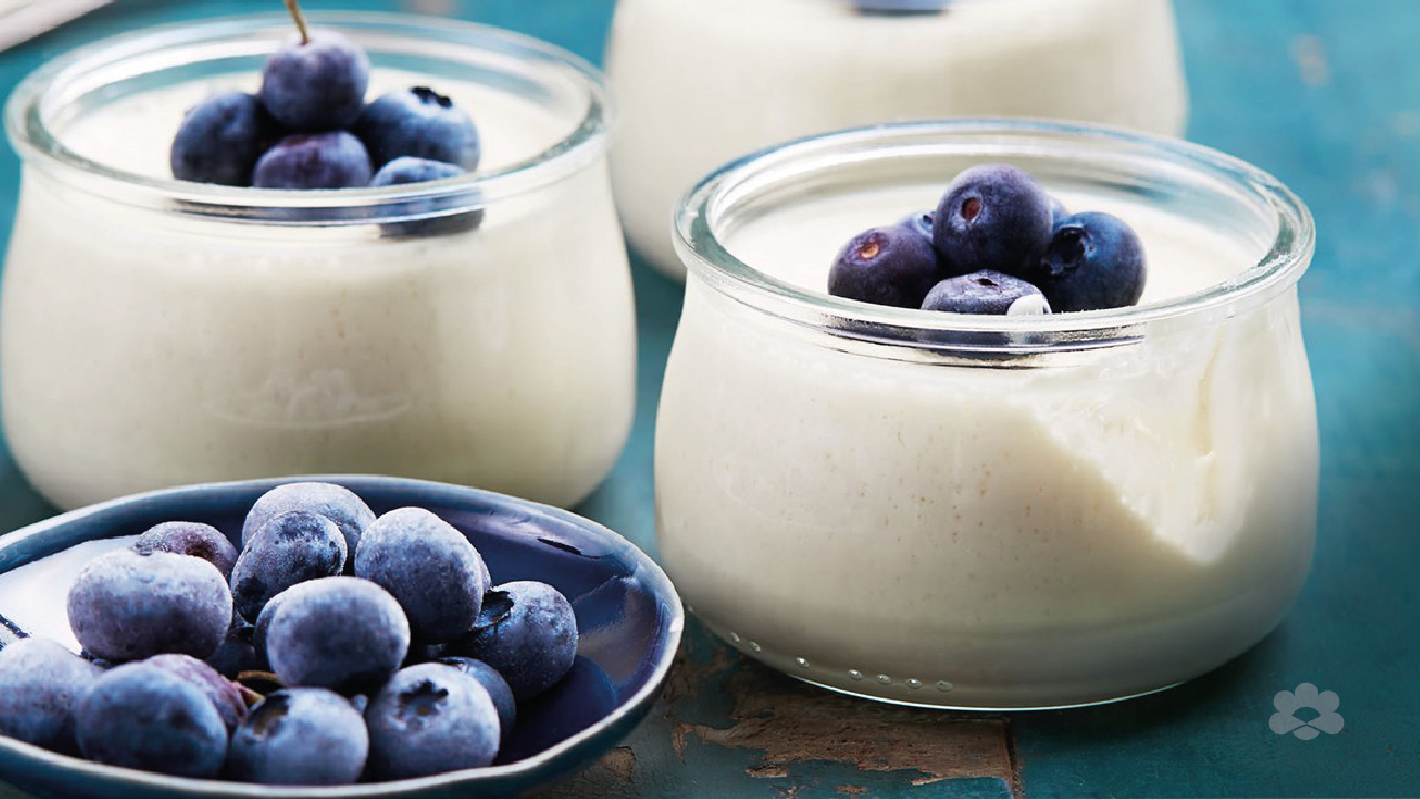 Yogurt panna cotta with blueberries 